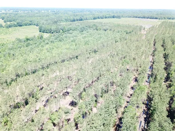 a view of a lake with a mountain and trees