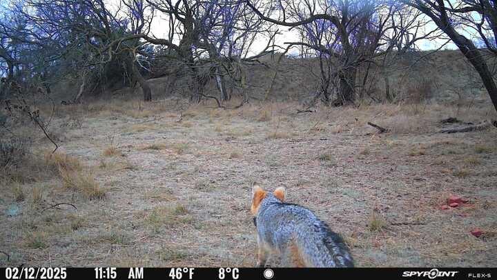2055 County Road 472 Rochelle, TX 76872 - Photo 7 of 24