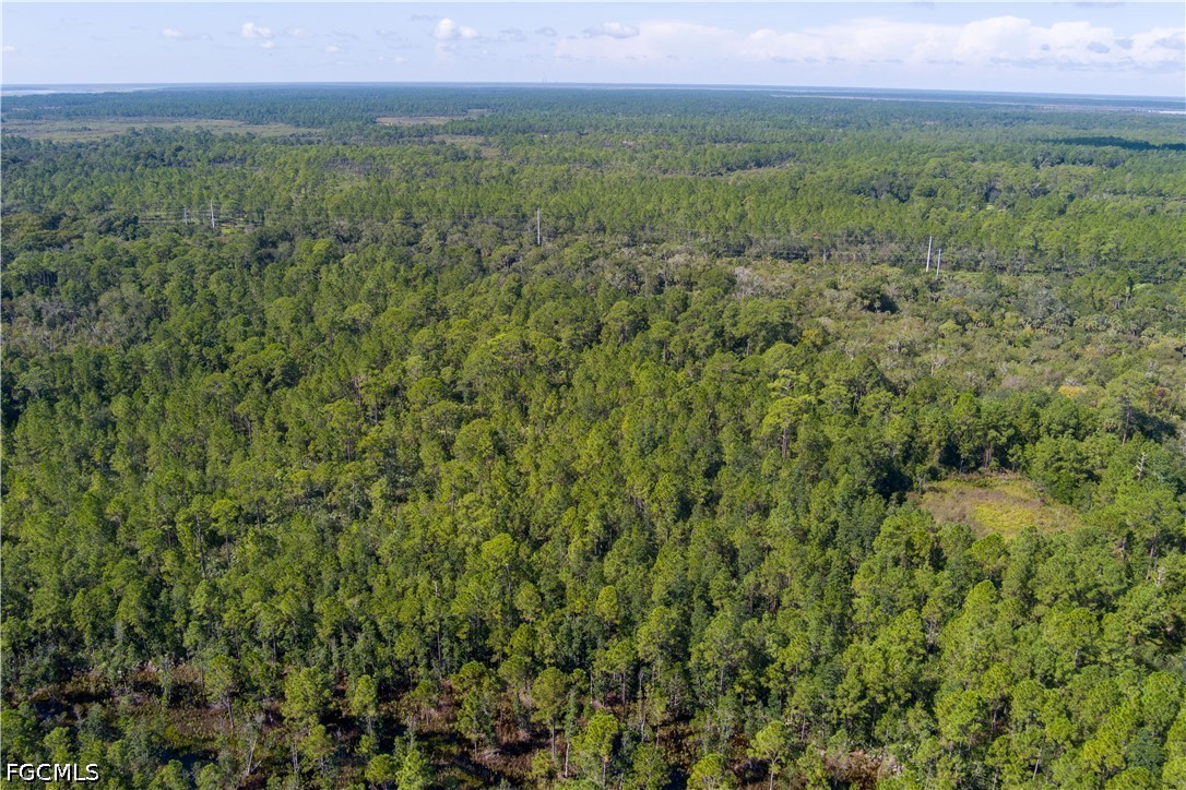 48559-39219 Gandy Road Mims, FL 32754 - Photo 22 of 24 Gallery Image 22