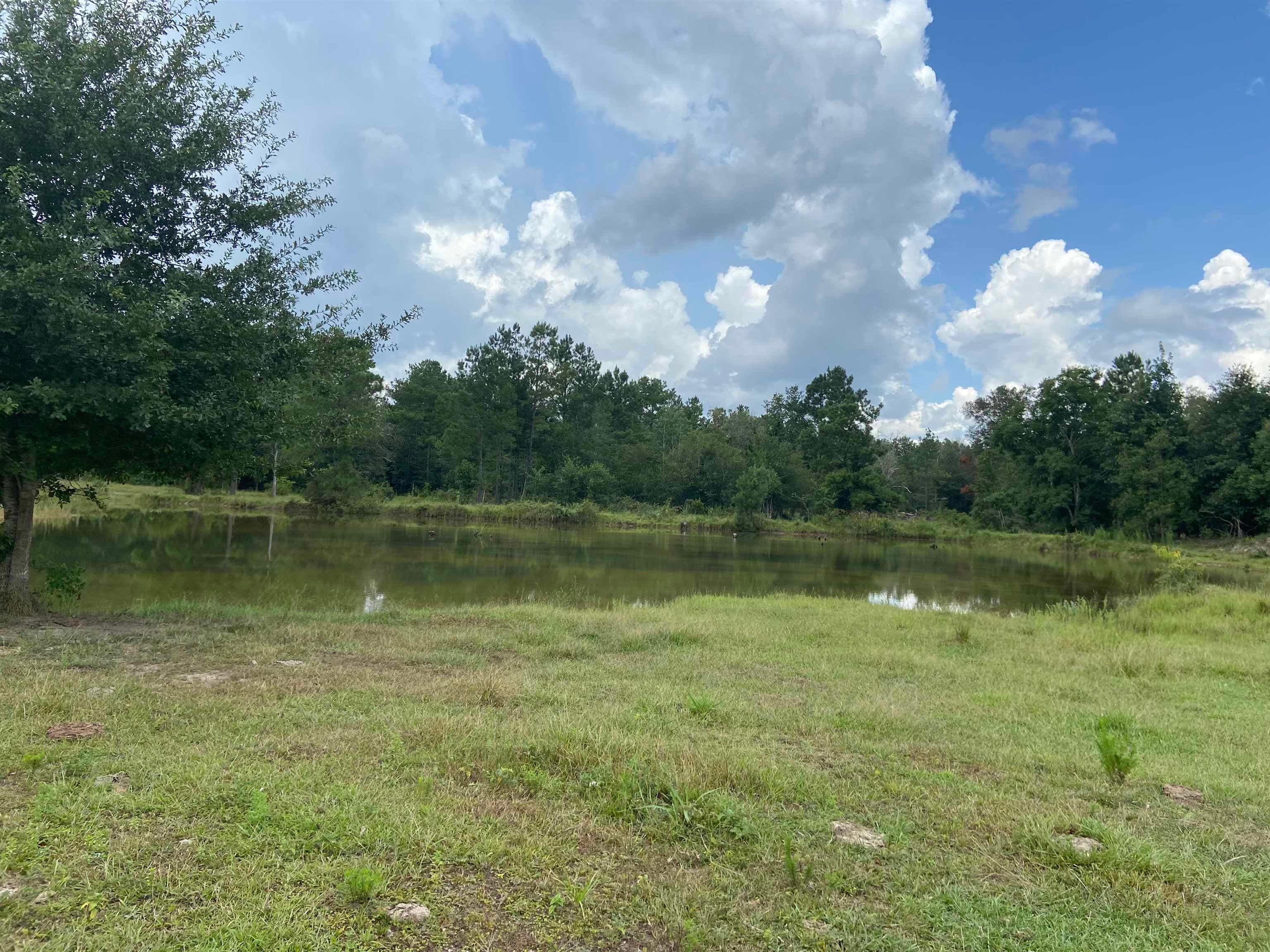 5459 Glaze Road Kountze, TX 77625 - Photo 23 of 28 Gallery Image 23