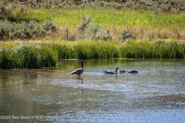 $3,495,000 | 8850 North Deland Drive, Jackson, WY 83001