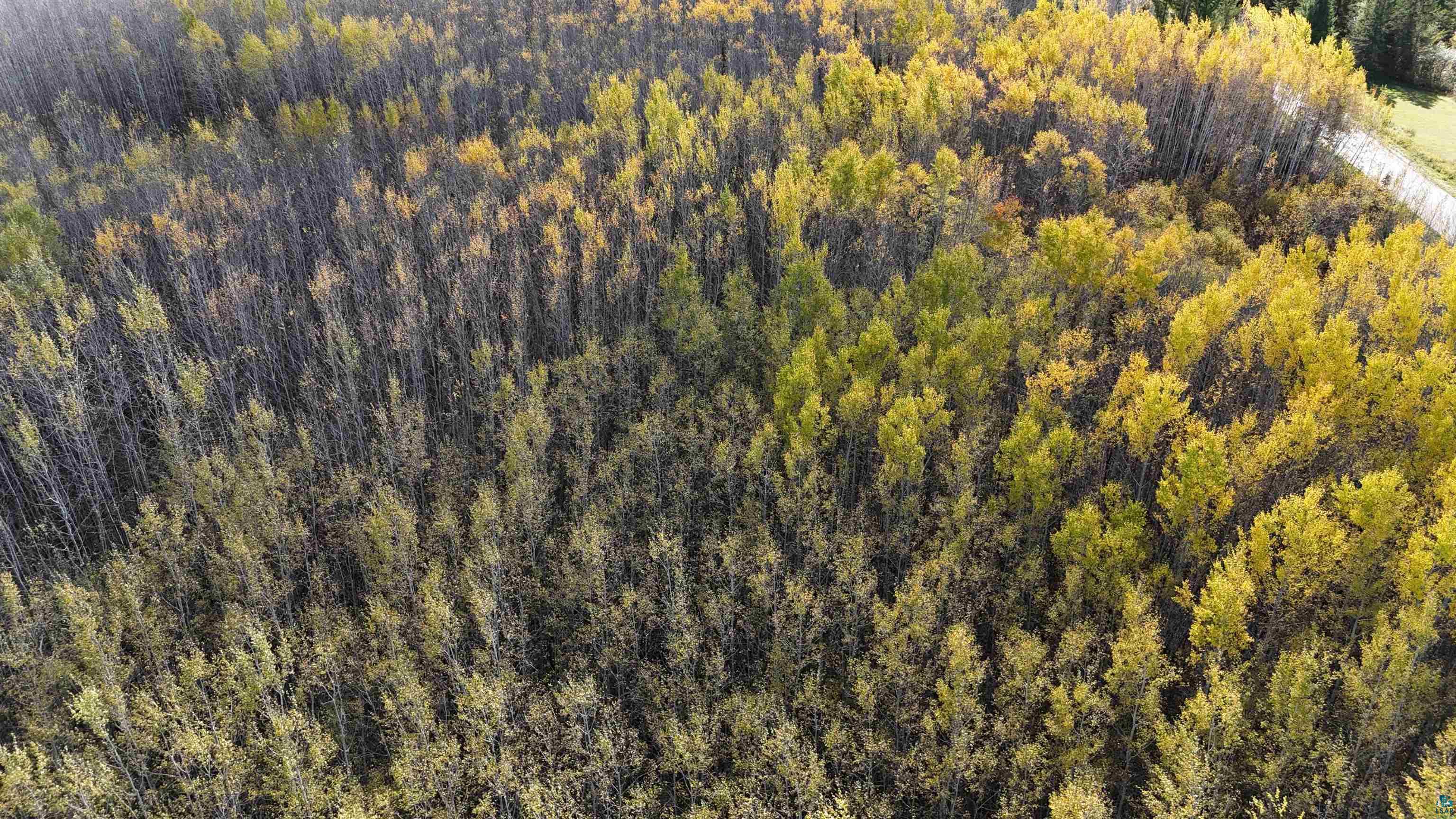 28.9 Rangeline Road Orr, MN 55771 - Photo 11 of 24 Gallery Image 11