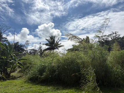 $25,000 | 335 Honu Street, Pahoa, HI 96778