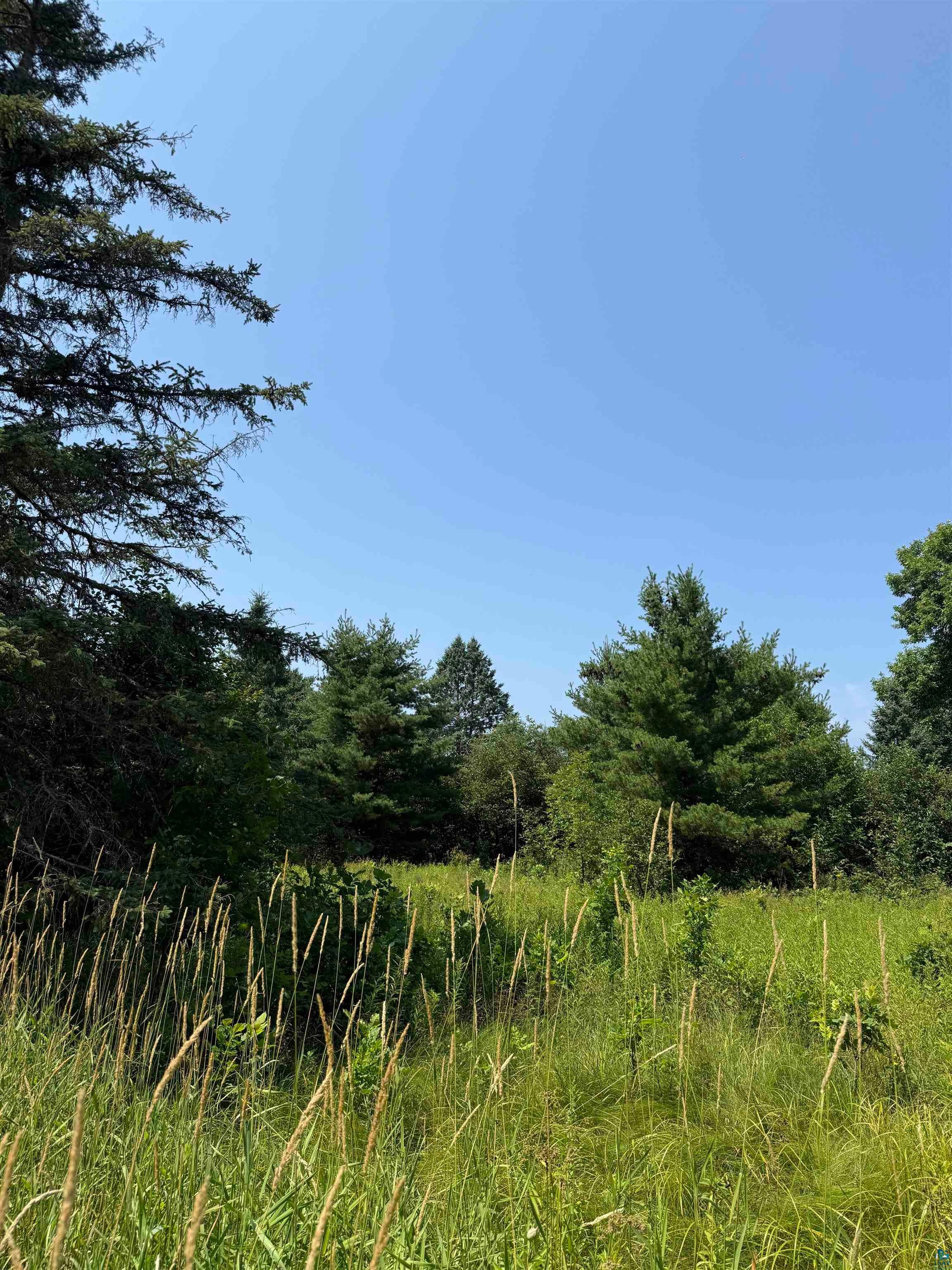 750 Chebomnicon Bay Road La Pointe, WI 54850 - Photo 14 of 17 Gallery Image 14