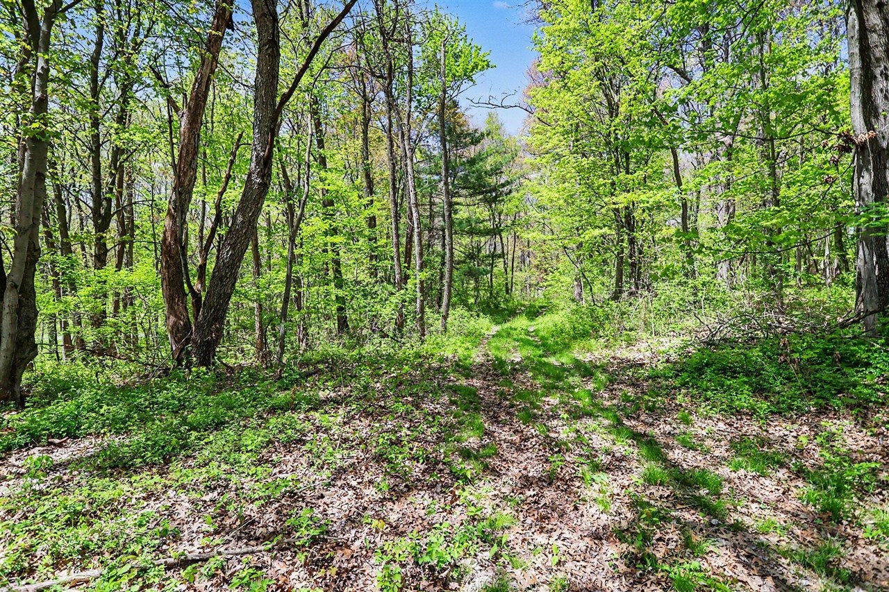 North Uldriks Road Battle Creek, MI 49017 - Photo 4 of 13