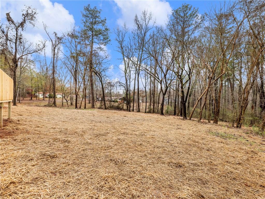 222 Lynn Road Bethlehem, GA 30620 - Photo 35 of 45 a street view covered with snow
