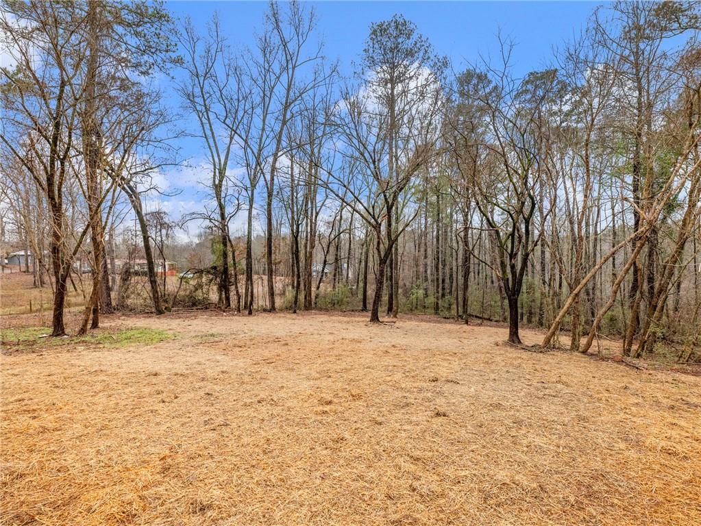 222 Lynn Road Bethlehem, GA 30620 - Photo 38 of 45 a street view covered with snow