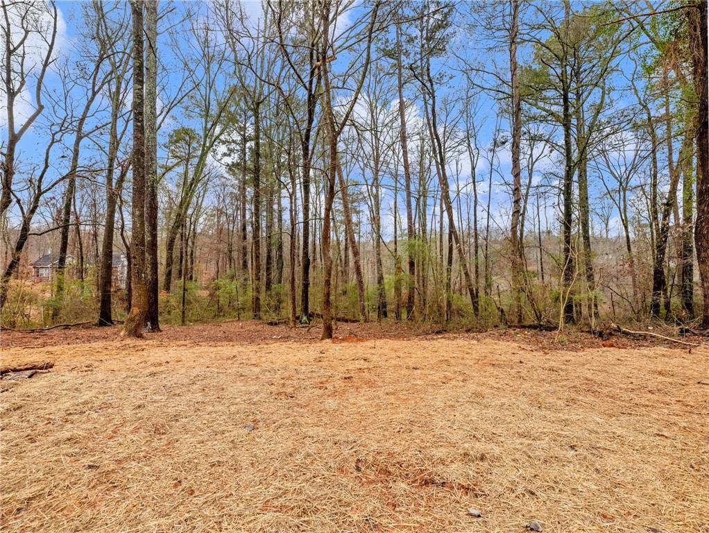 222 Lynn Road Bethlehem, GA 30620 - Photo 39 of 45 a street view with large trees