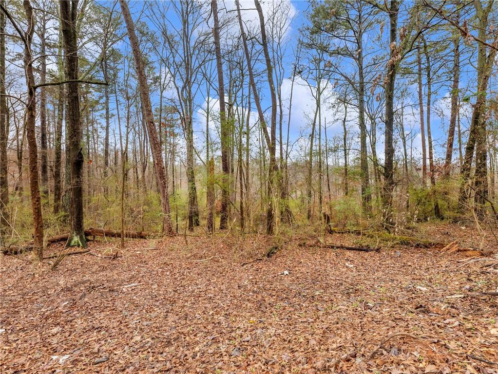 222 Lynn Road Bethlehem, GA 30620 - Photo 41 of 45 a view of outdoor space with outdoor seating