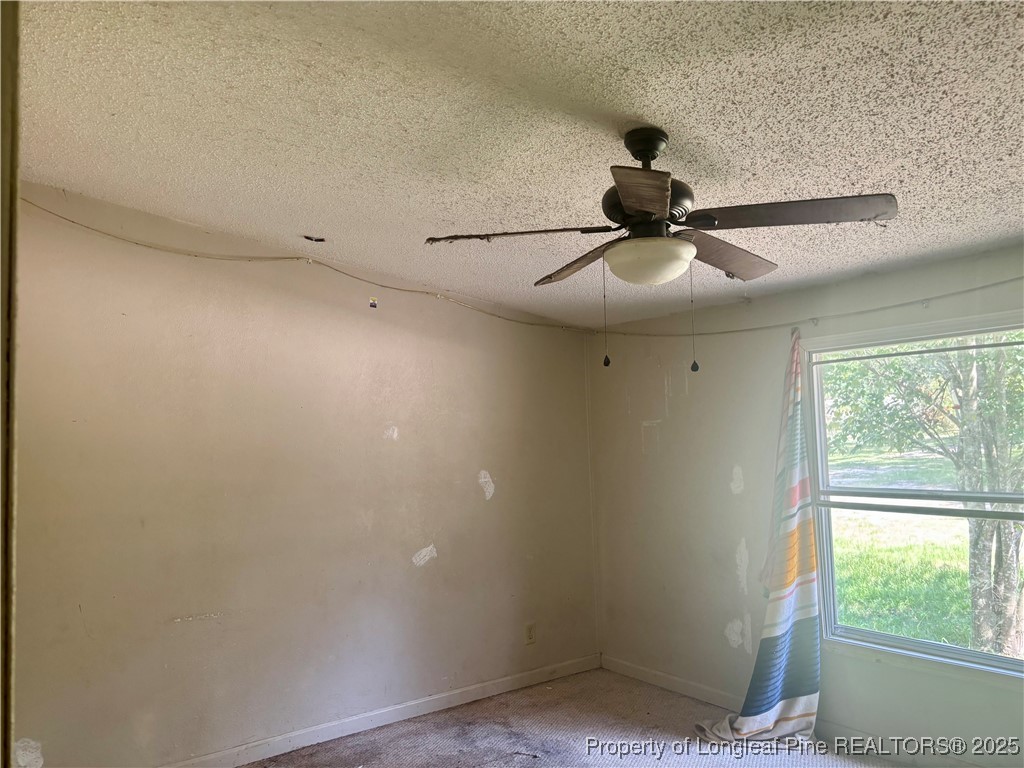 899 Southfork Road Parkton, NC 28371 - Photo 3 of 28 Gallery Image 3