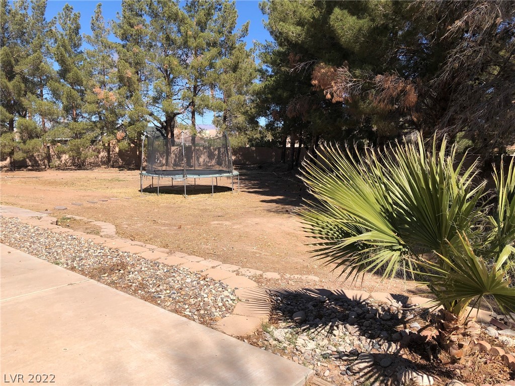 4320 Alfalfa Field Street Logandale, NV 89021 - Photo 33 of 38