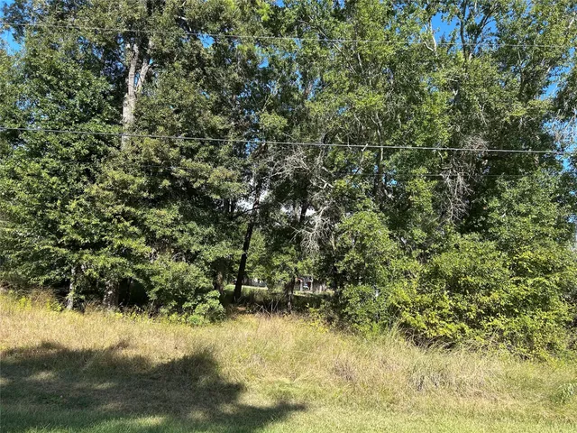 $35,000 | 296 Martineque Lane, Point Blank, TX 77364