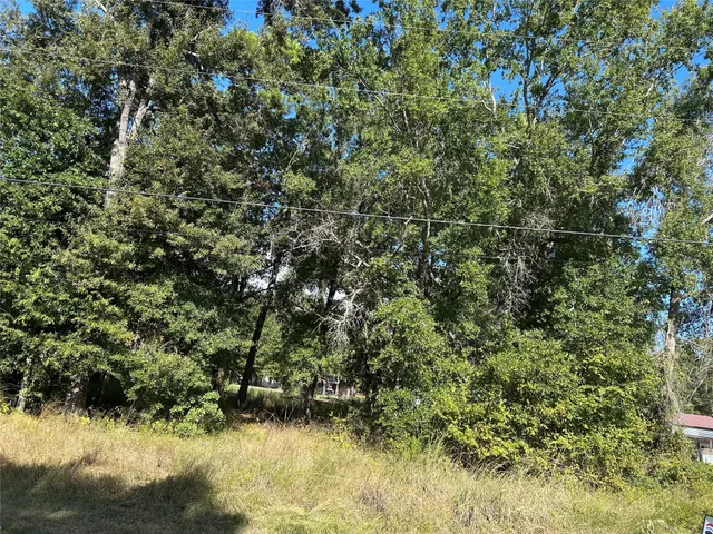 $35,000 | 296 Martineque Lane, Point Blank, TX 77364