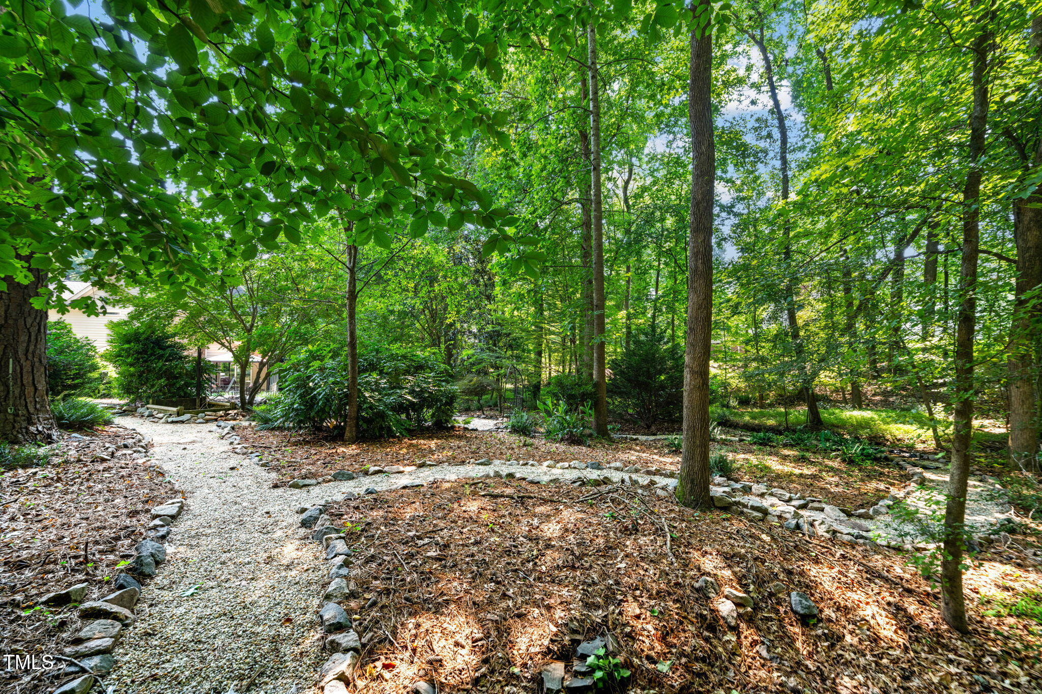 9009 Hometown Drive Raleigh, NC 27615 - Photo 62 of 82 a view of a forest with trees in the background