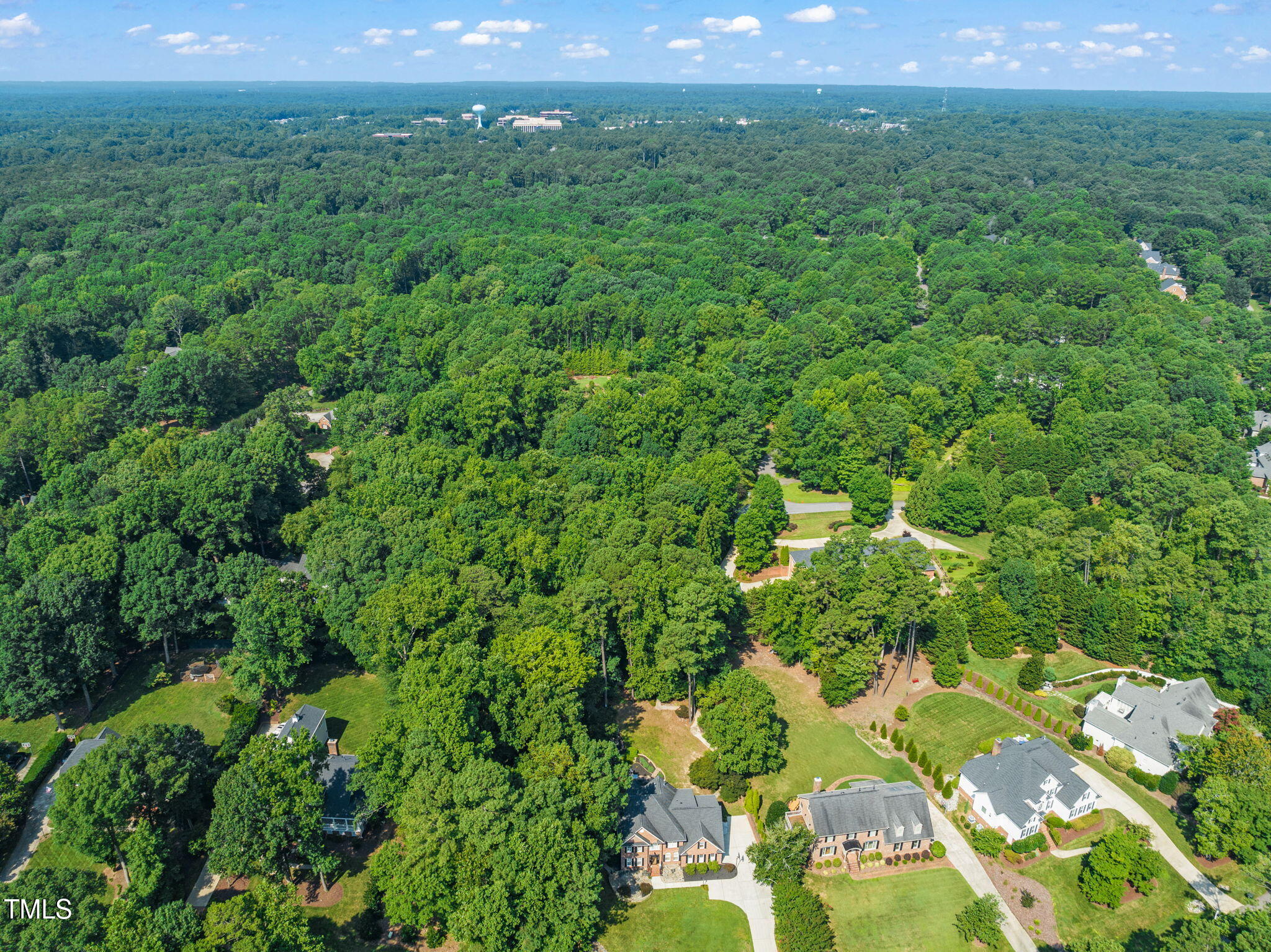 9009 Hometown Drive Raleigh, NC 27615 - Photo 71 of 82 a view of a lush green forest with a houses