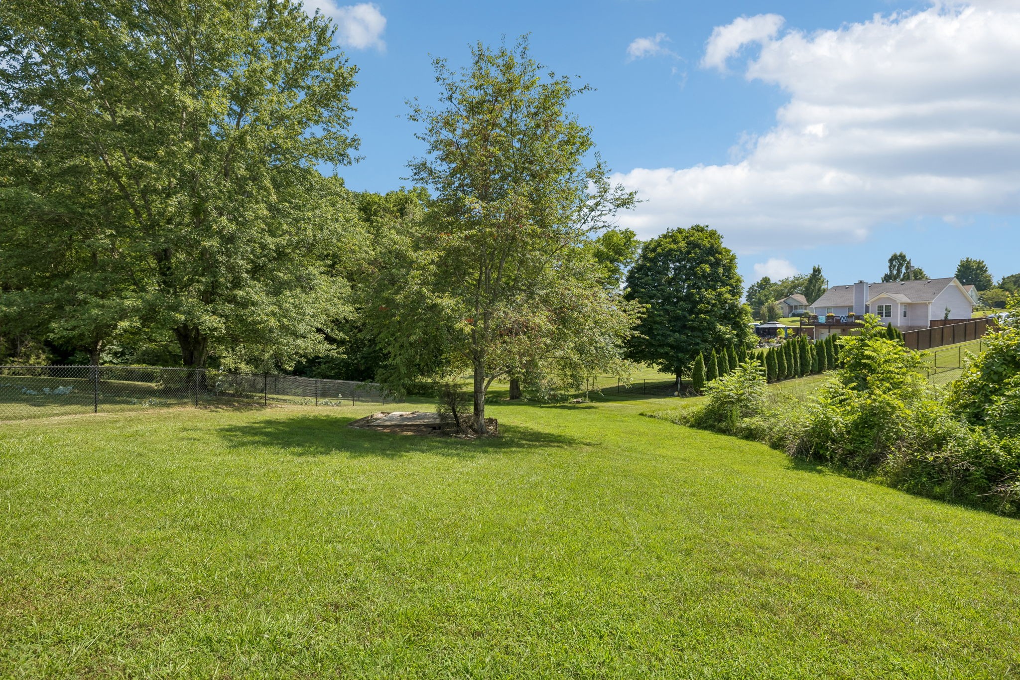 1007 Copper Kettle Circle Pleasant View, TN 37146 - Photo 28 of 30