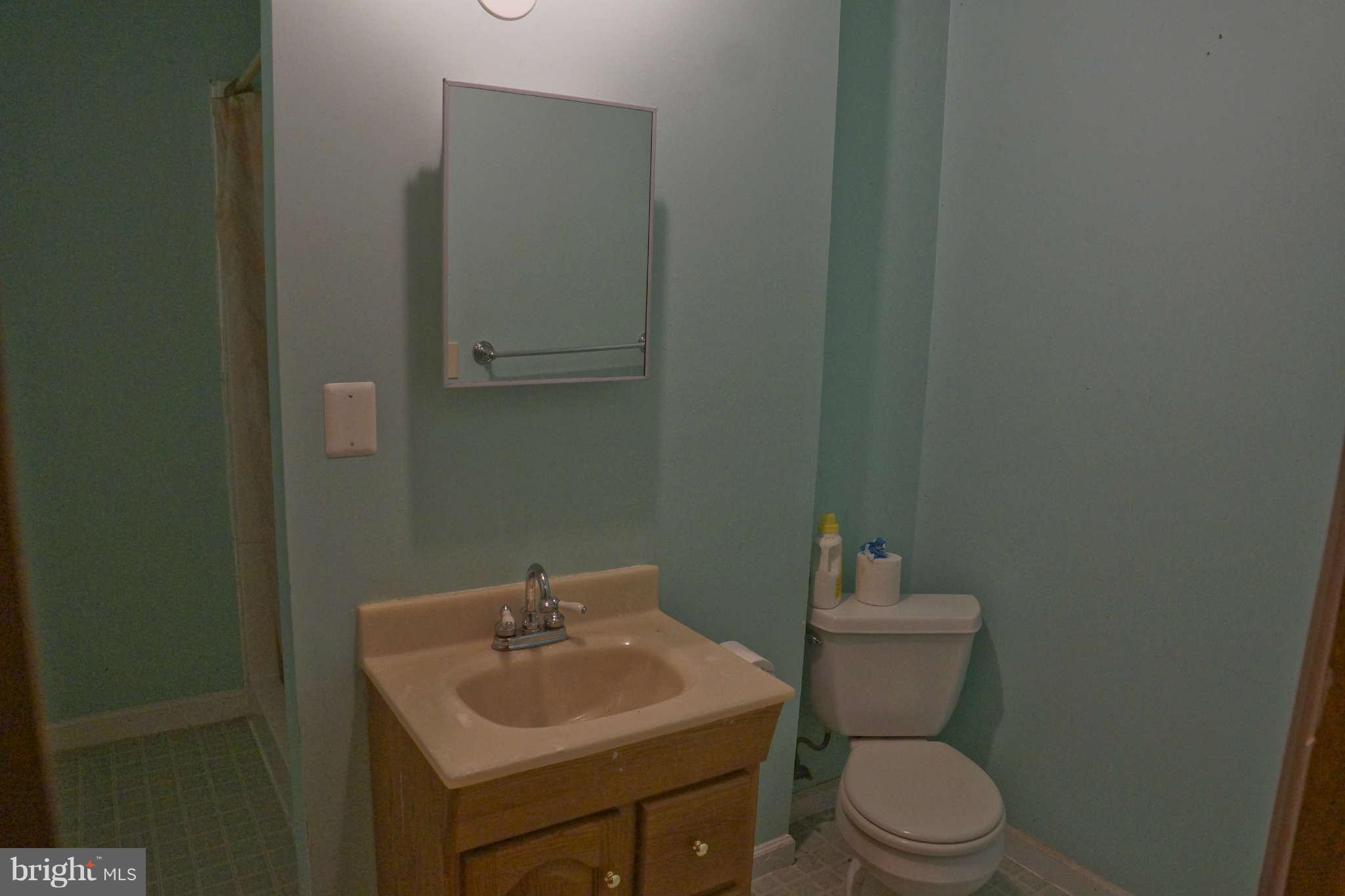10268 Stillhouse Road Delaplane, VA 20144 - Photo 23 of 30 Bath