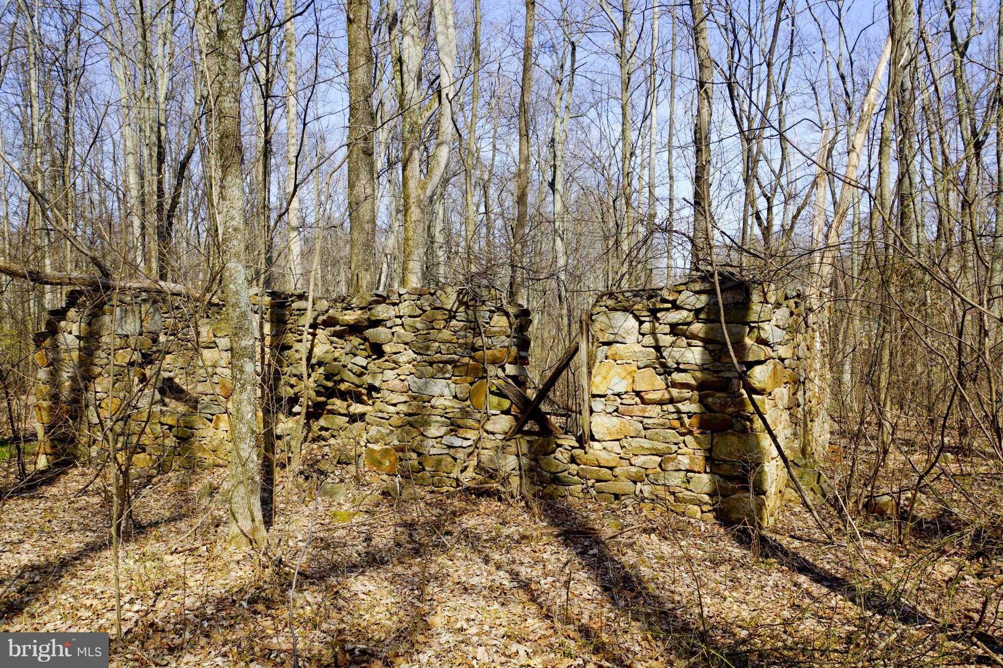 10268 Stillhouse Road Delaplane, VA 20144 - Photo 29 of 30 View
