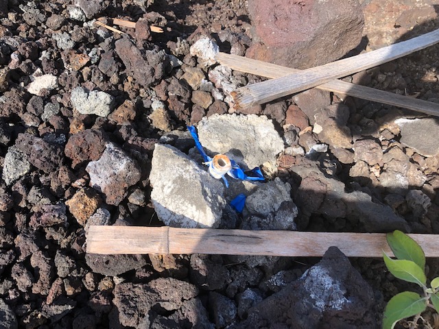 37 Umi Avenue Captain Cook, HI 96704 - Photo 11 of 11