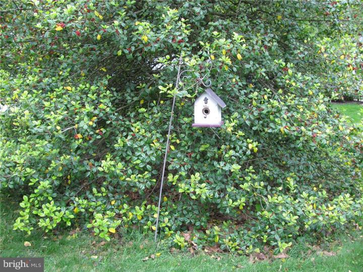 211 Redford Road Oreland, PA 19075 - Photo 20 of 21 Side Yard