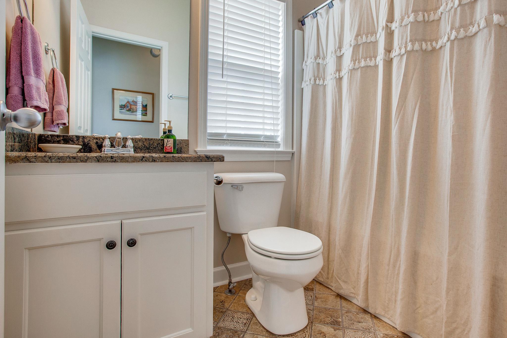 1017 Red Pepper Ridge Spring Hill, TN 37174 - Photo 15 of 27 Down stairs bath