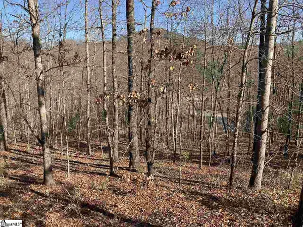 $160,000 | 7 Mountain Ash Way, Marietta, SC 29661