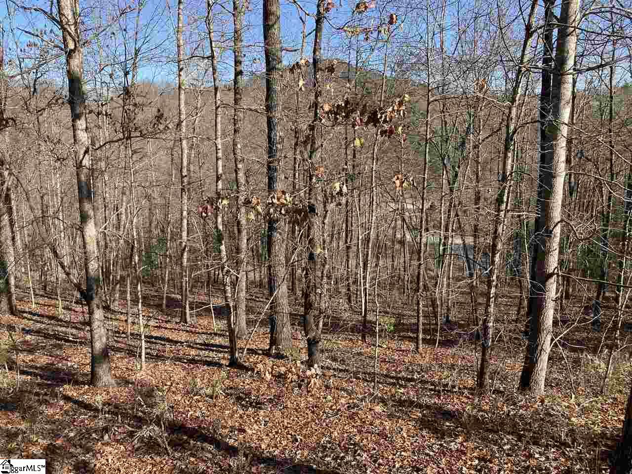 7 Mountain Ash Way Marietta, SC 29661 - Photo 1 of 4