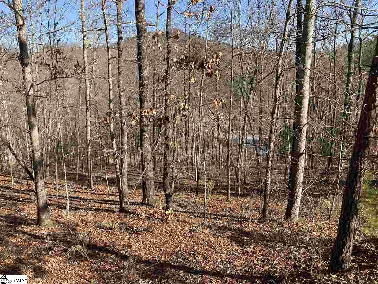 7 Mountain Ash Way Marietta, SC 29661 - Photo 3 of 4