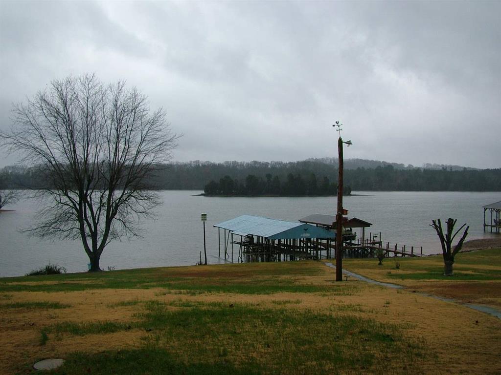 1156 Sable Road Spring City, TN 37381 - Photo 28 of 40 28