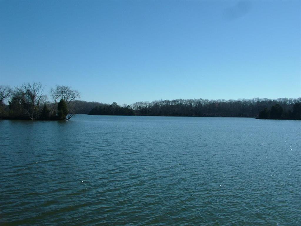 1156 Sable Road Spring City, TN 37381 - Photo 35 of 40 35