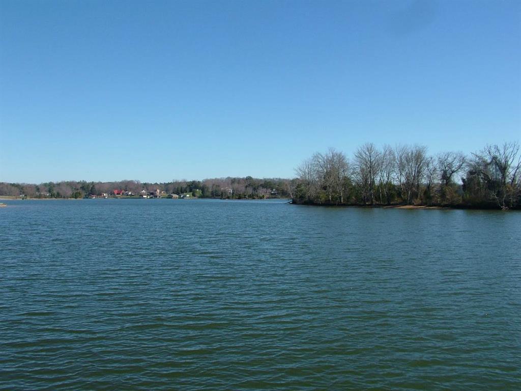 1156 Sable Road Spring City, TN 37381 - Photo 36 of 40 36