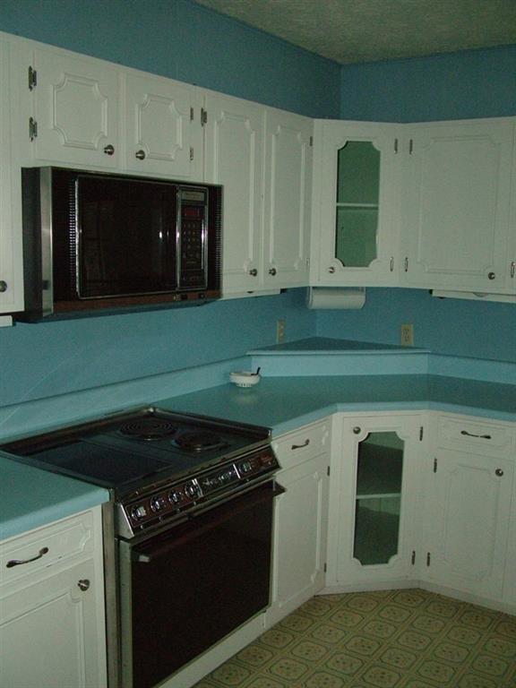 1156 Sable Road Spring City, TN 37381 - Photo 10 of 40 10