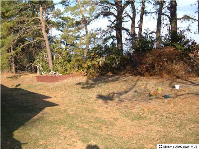 12 Stonybrook Road Whiting, NJ 08759 - Photo 3 of 25 a view of dirt yard with a tree