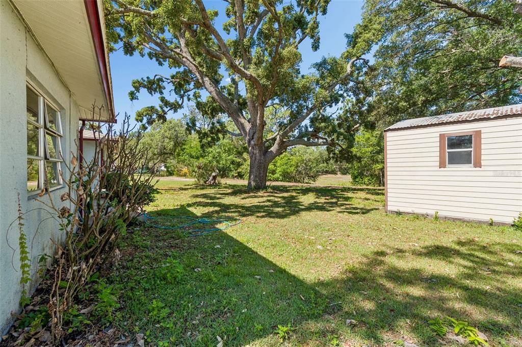 2059 Waterfall Drive Spring Hill, FL 34608 - Photo 25 of 26 a view of backyard of the house