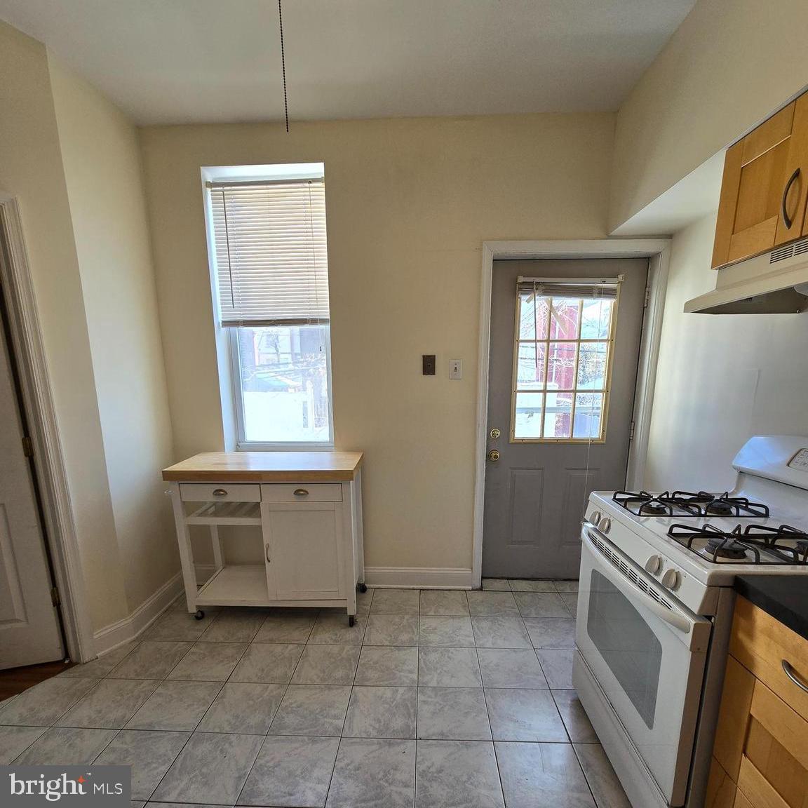 316 Winona Street, Unit 1 Philadelphia, PA 19144 - Photo 7 of 18 Bright kitchen with backyard access