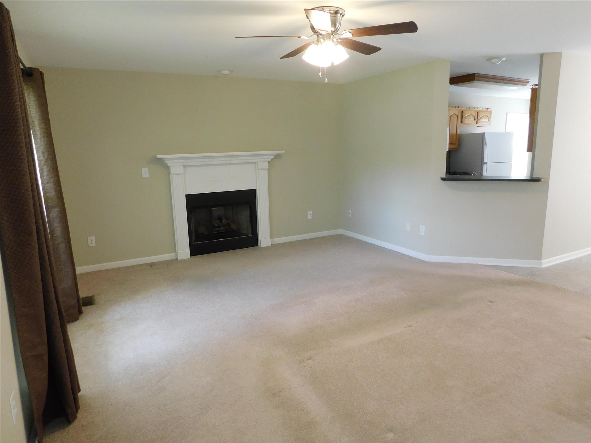 4368 Scott Hollow Road Culleoka, TN 38451 - Photo 4 of 14 Large living room with fireplace is totally repainted.