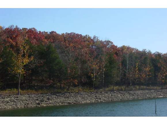 2 Lake Road Shell Knob, MO 65747 - Photo 1 of 1 Primary Photo