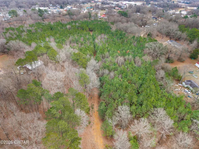 $100,000 | 0 Sheila Drive, Henderson, TN 38340