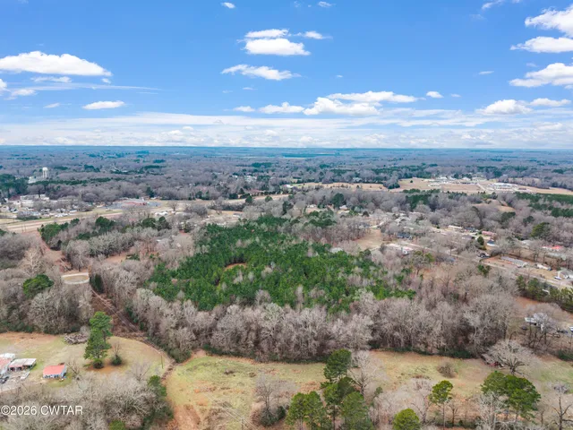a view of a yard with trees