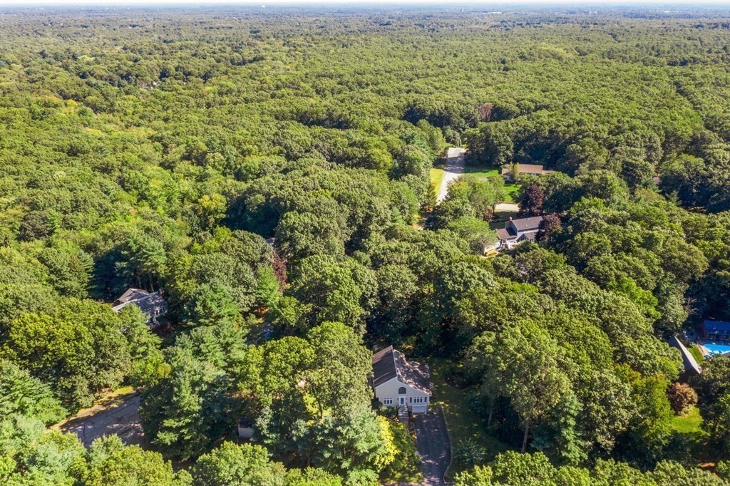 27 Lewis Road Foxboro, MA 02035 - Photo 31 of 40 a view of a city with lush green forest