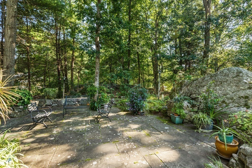 27 Lewis Road Foxboro, MA 02035 - Photo 34 of 40 a backyard of a house with lots of green space