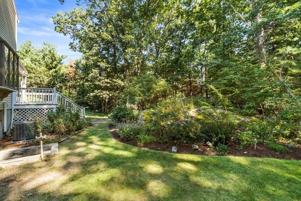 27 Lewis Road Foxboro, MA 02035 - Photo 36 of 40 a view of a yard with plants and large trees