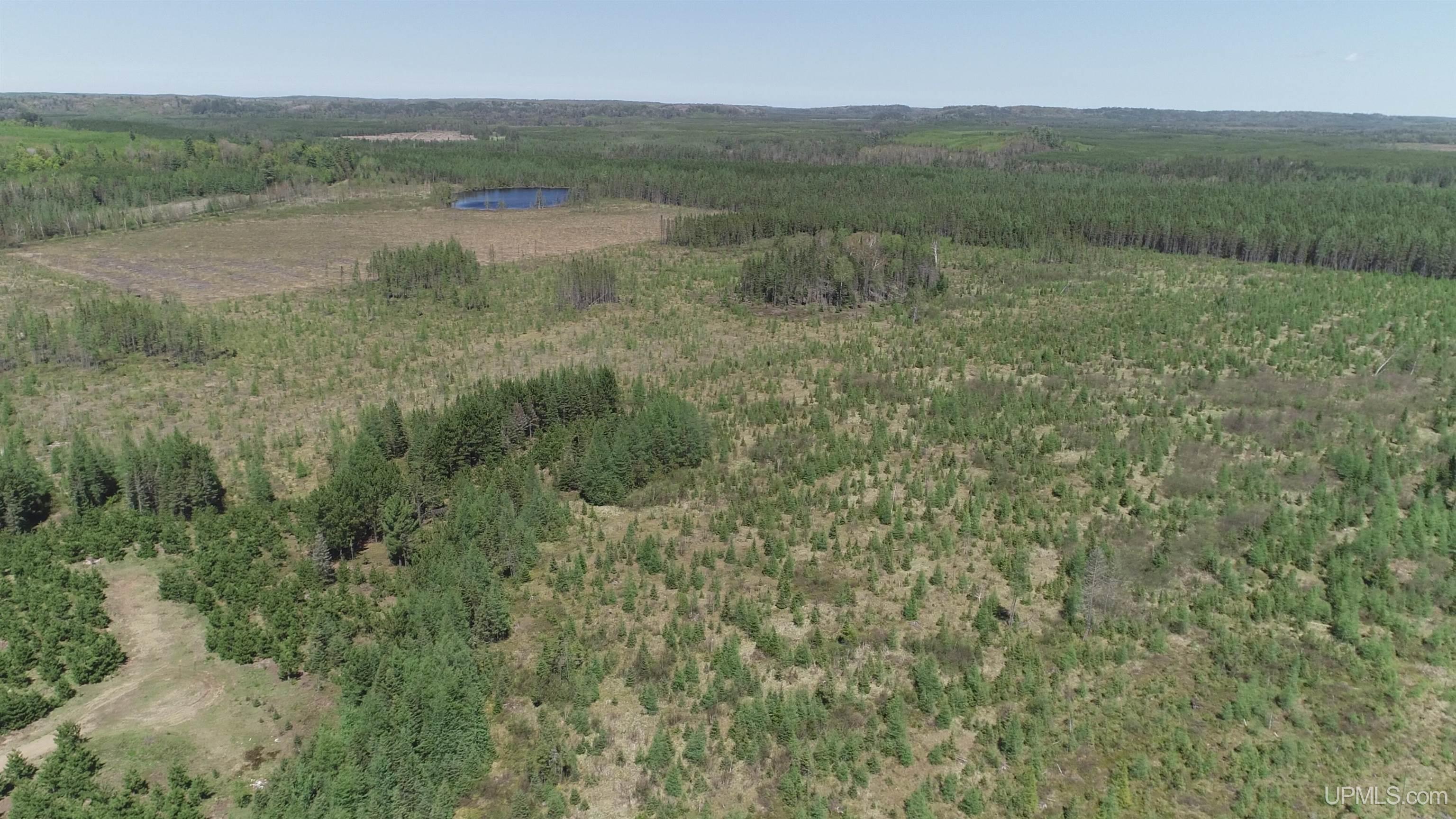 58-acres Co Rd Fn Road Champion, MI 49814 - Photo 8 of 27