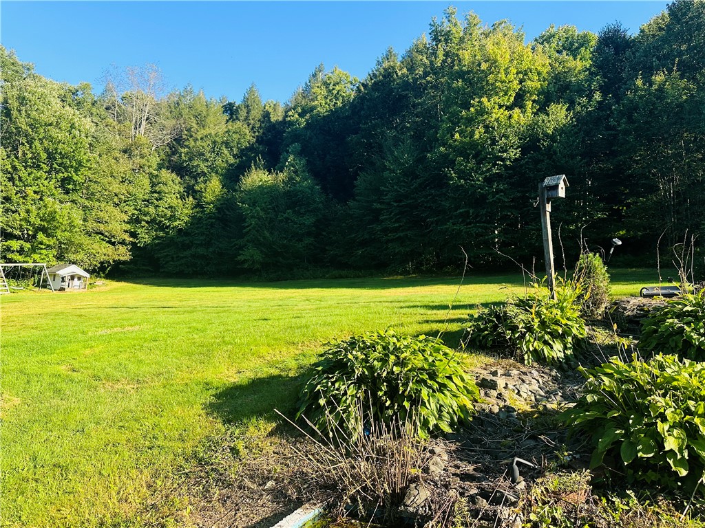 1660 Pine Swamp Road Tompkins, NY 13839 - Photo 26 of 27 Gallery Image 26