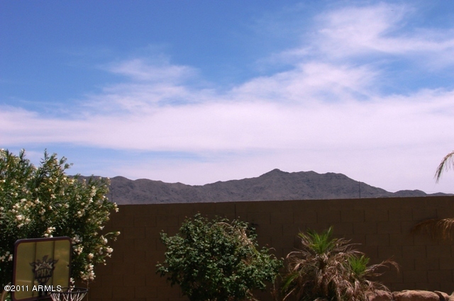 3215 West Maldonado Road Phoenix, AZ 85041 - Photo 15 of 18 mountain views
