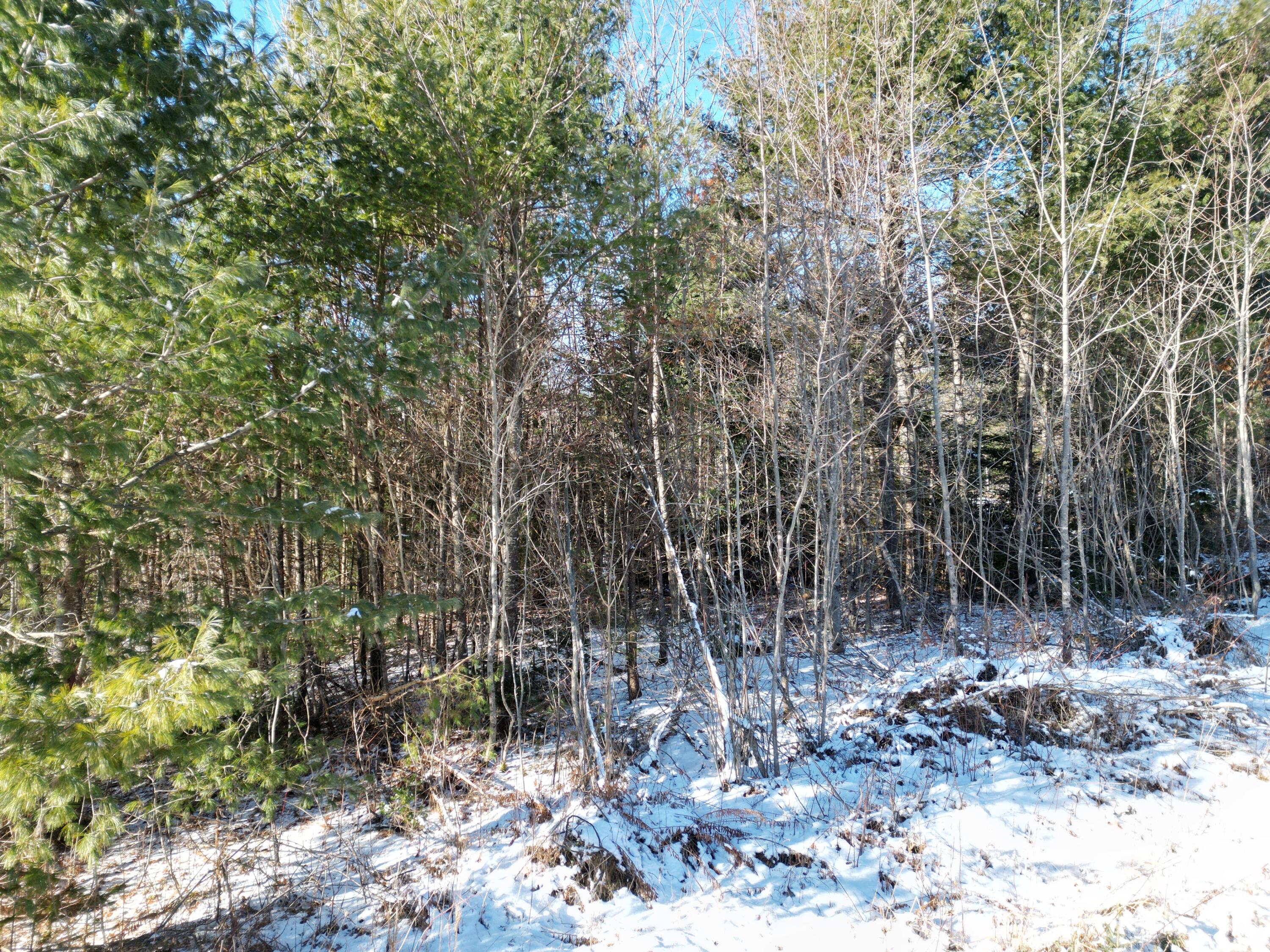 45 Maxwell Road Lee, ME 04455 - Photo 9 of 15 DJI_0501