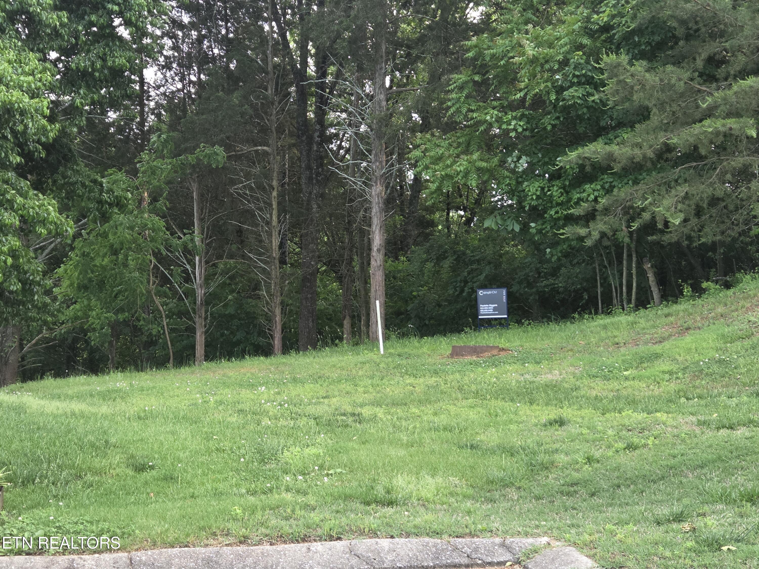 2417 Riverview Road Lenoir City, TN 37771 - Photo 2 of 2 1000018490