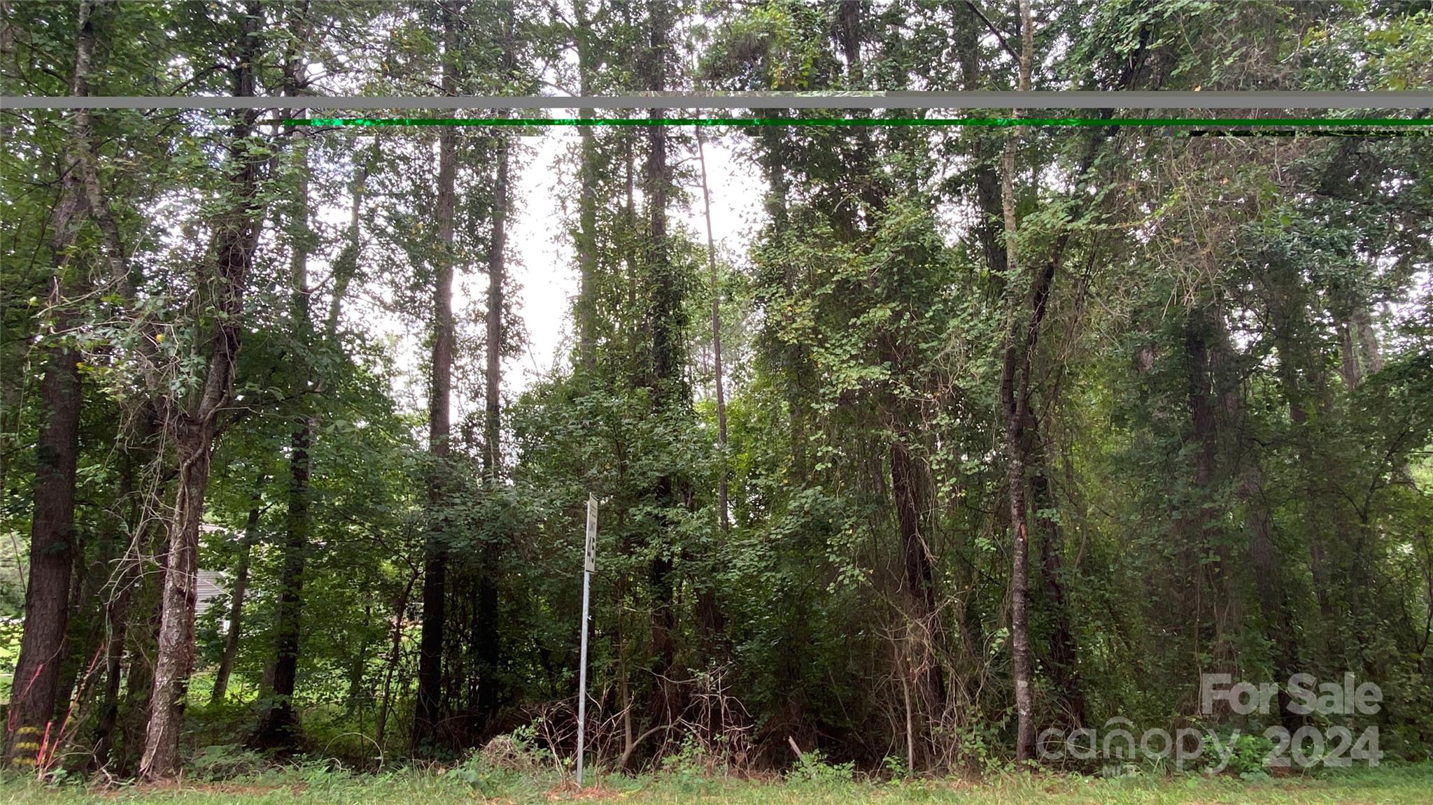 0 Bud Black Road Crouse, NC 28033 - Photo 11 of 12 a view of river covered with trees