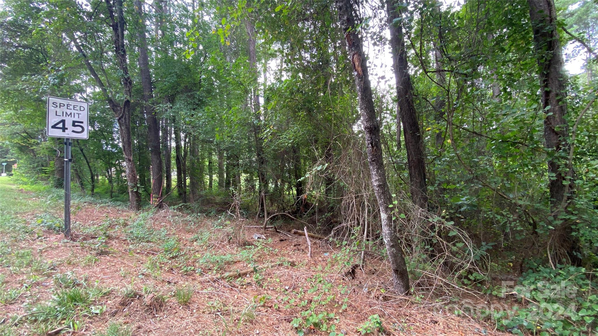 0 Bud Black Road Crouse, NC 28033 - Photo 12 of 12 a view of a forest filled with trees