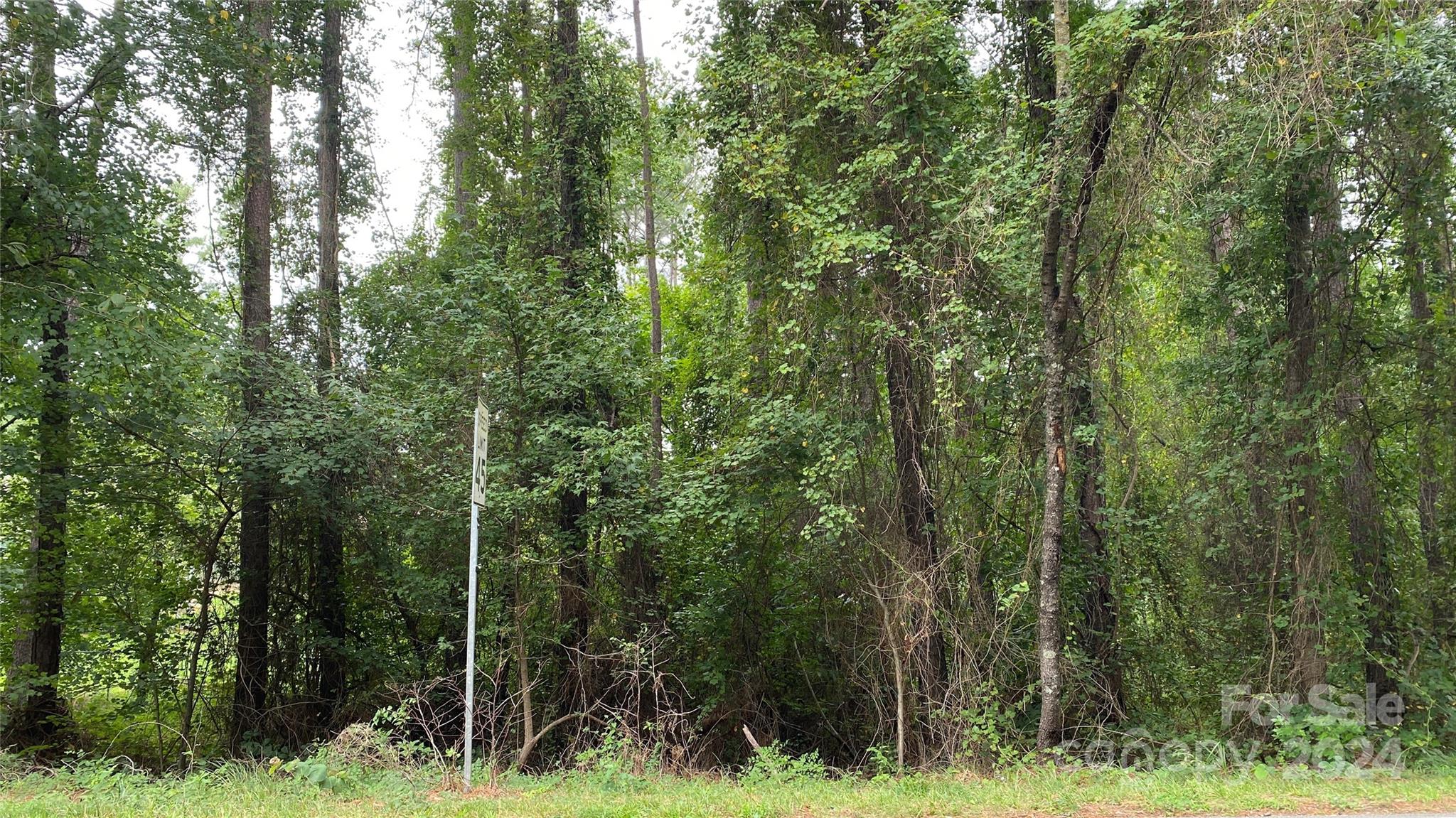 0 Bud Black Road Crouse, NC 28033 - Photo 2 of 12 a view of a forest with trees in front of it